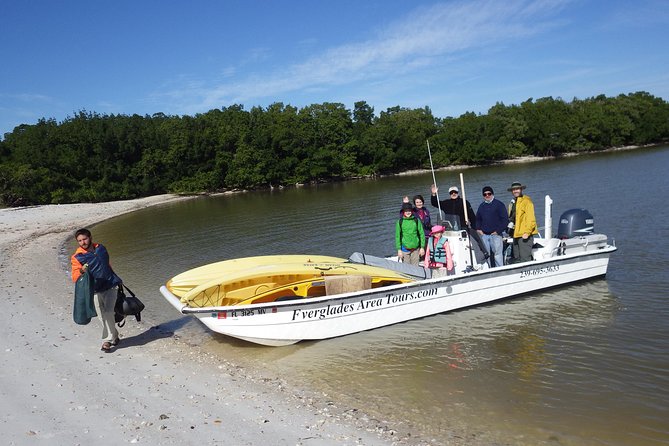 Small Group Boat, Kayak and Walking Guided Eco Tour Everglades - How the guide tailors the day (and why afternoons can change plans)