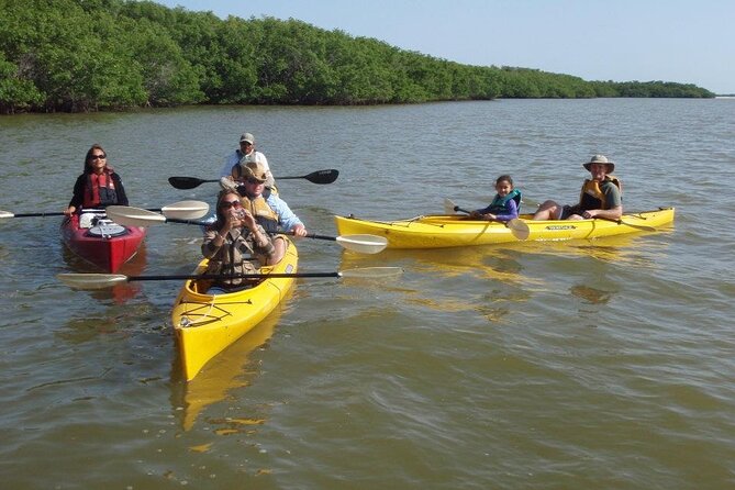 Small-Group Everglades Boating Kayaking and Walking Eco Tour - Master Naturalist guides: what you’ll learn fast