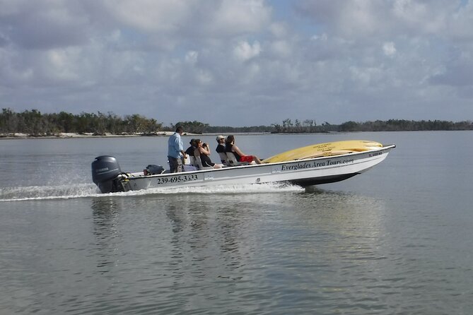 Small-Group Everglades Boating Kayaking and Walking Eco Tour - What’s included, what isn’t, and how to value the $199.95 price
