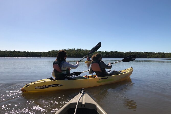 Small-Group Everglades Boating Kayaking and Walking Eco Tour - Who should book this, and who should skip it
