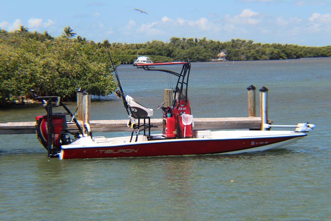 Small-group private Key West tour with expert guide - What the Stops Mean in Real Life (and What You Might Skip)