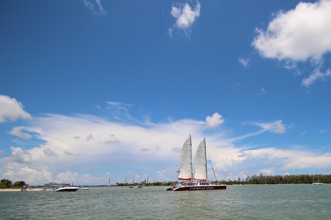 South Beach Sail Splash aboard the Caribbean Spirit - Wildlife Spotting for Dolphins: Fun, Not a Guarantee
