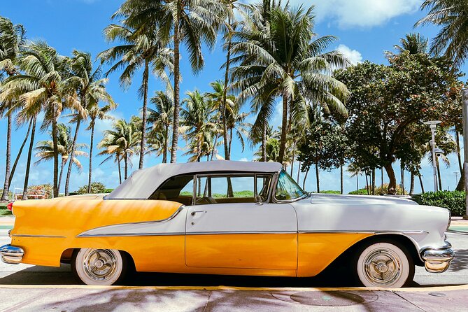 South Beach Top Highlights Tour with Lincoln Rd and Espanola Way - How to get the best experience from your guide