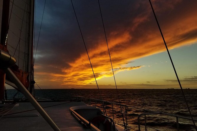 Sunset Sail in Miami: Complimentary Champagne Toast - Key things to know before you board