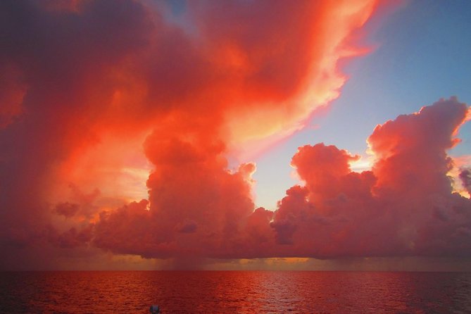 Sunset Sail in Miami: Complimentary Champagne Toast - When you sail past the Port and South Beach: a different Miami angle