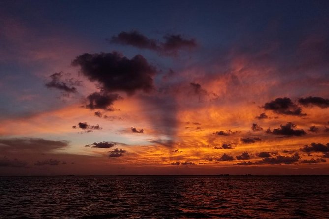Sunset Sail in Miami: Complimentary Champagne Toast - Onboard comfort: shade, restrooms, and music that keeps the mood right