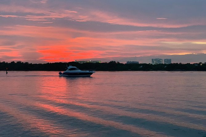 The highlight of your Vacation! - So, should you book Angel Charters for your Miami half-day?