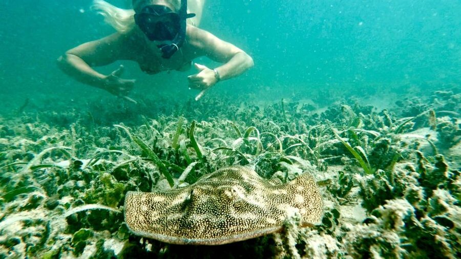 West Palm Beach: Beginner Scuba Diving Adventure with Videos - Price Check: Is $99 Good Value?