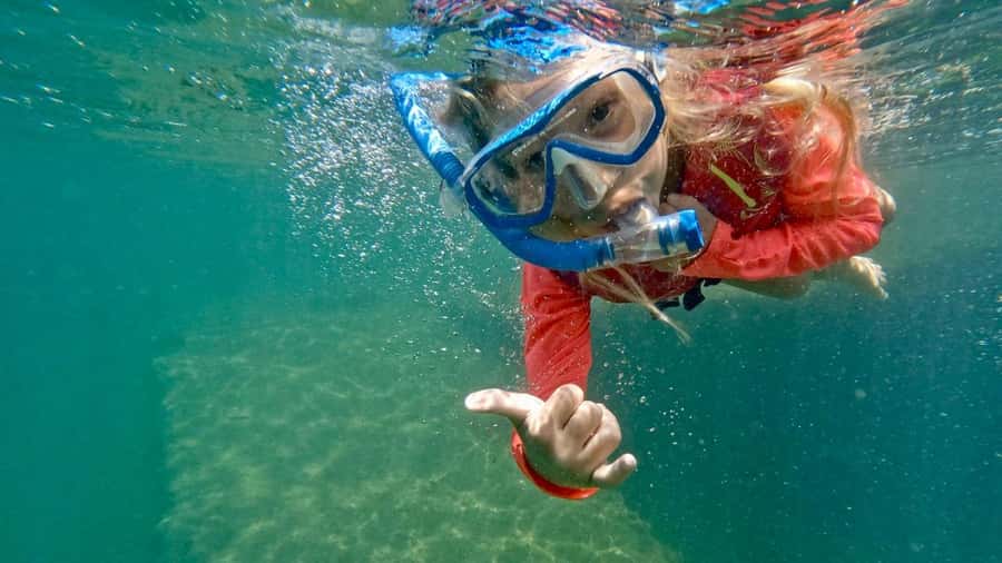 West Palm Beach: Beginner Snorkel Tour with Turtles & Videos - The guided snorkel: turtles, rays, and fish you can actually see