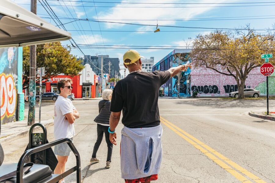 Wynwood Art District 1-Hour Street Art Tour by Golf Cart - Local Schools and Murals in Everyday Places