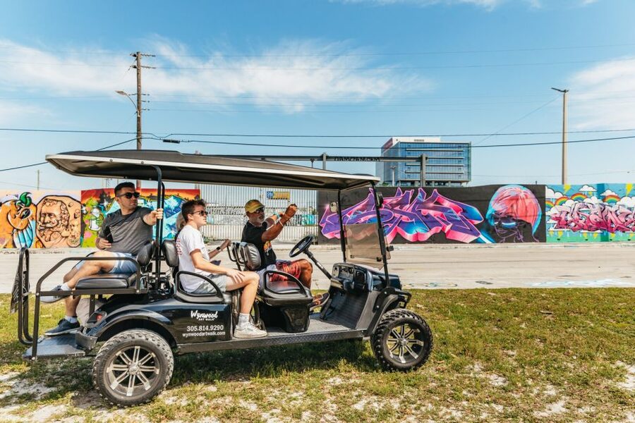 Wynwood Art District 1-Hour Street Art Tour by Golf Cart - Meeting Point at Wynwood Art Walk (Right Next to Rupee’s Sarees)
