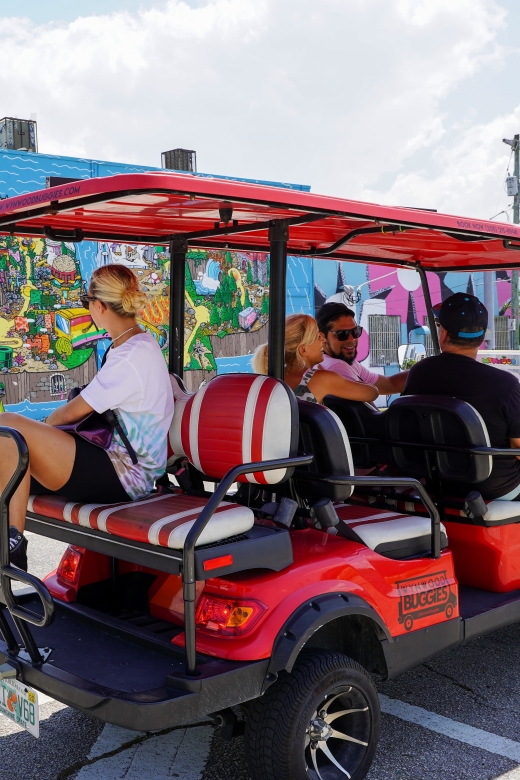 Wynwood Art District 1-Hour Wynwood Buggies Street Art Tour - Photo stops and rain reality: what the buggy does well