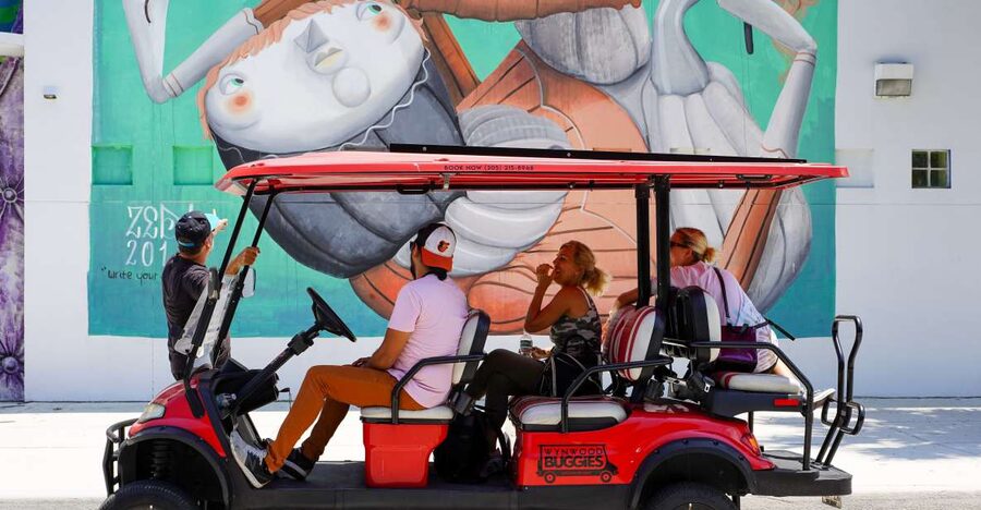 Wynwood Art District 1-Hour Wynwood Buggies Street Art Tour - Tips that make your hour smoother