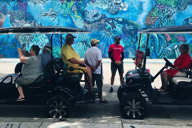 Wynwood Graffiti Golf Cart Small-Group Tour - Timing and sunset: what to expect on the 5:15 pm run in winter