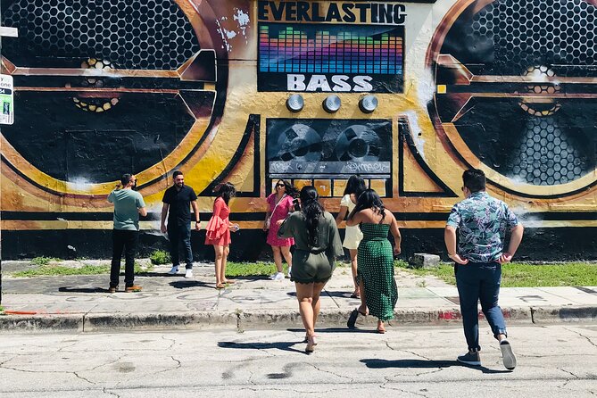 Wynwood Street Art Tour - Passing Wynwood Walls without entering: plan your next move