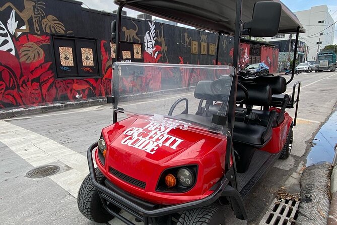 Wynwood Street Art Tour - Artist Lead -VIP Cart - Key highlights worth your time