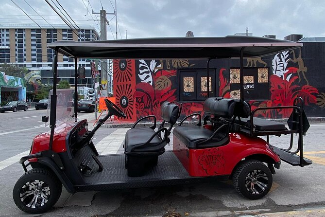 Wynwood Street Art Tour - Artist Lead -VIP Cart - The VIP Cart experience: faster routes, less friction