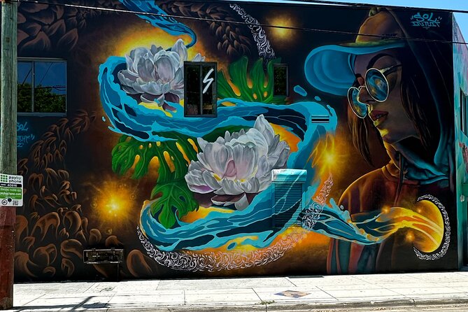 Wynwood Street Art Tour - Artist Lead -VIP Cart - Wynwood Art District and Wynwood Walls: your artist-led mural story