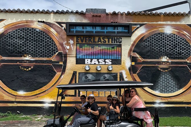Wynwood Street Art Tour - Artist Lead -VIP Cart - Where you start and how the tour stays focused