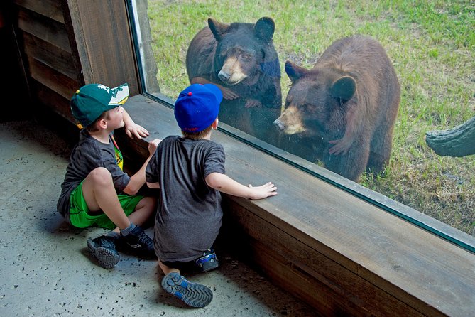 Zoo Miami Ticket with Optional Upgrade - The Cageless-Enclosure Experience: Animals You Can Find Fast