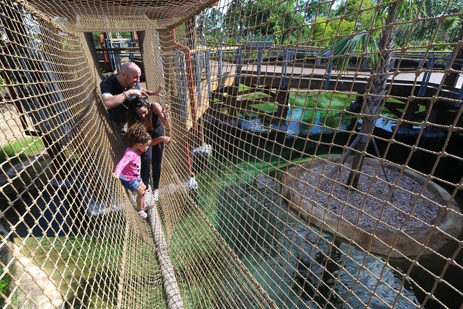 Zoo Miami Ticket with Optional Upgrade - Amazon and Beyond: Rainforest Themes and Snakes Behind Glass