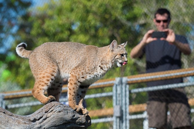 Zoo Miami Ticket with Optional Upgrade - The Aquarium Stop: A Clean, Weather-Proof Win