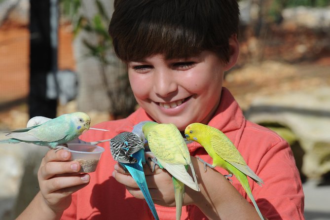Zoo Miami Ticket with Optional Upgrade - Family-Friendly Details That Matter on a Hot Day