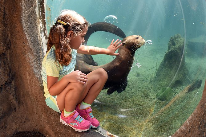 Zoo Miami Ticket with Optional Upgrade - Wings of Asia Aviary: The Big Bird Moment